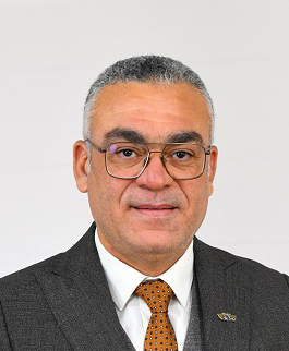 المهندس/