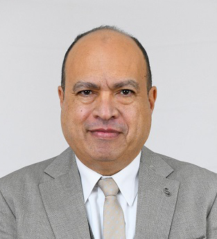 المهندس/