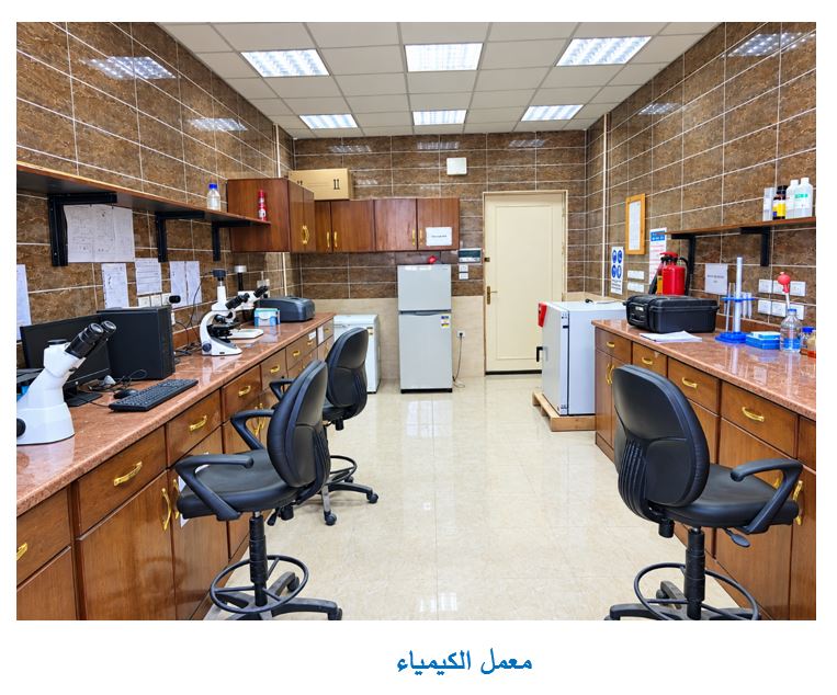 صورة 1